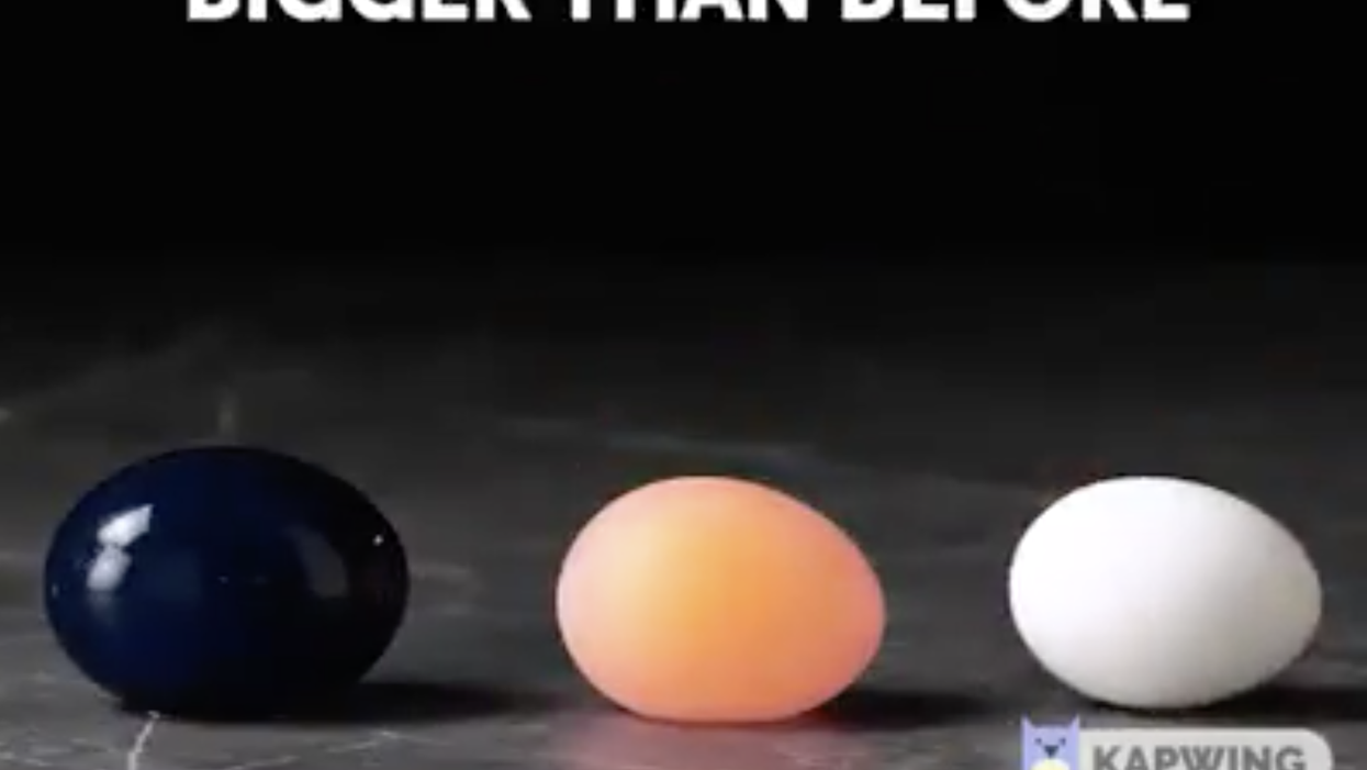 Bizarre viral DIY craft video shows how to make an egg 'bigger than before'