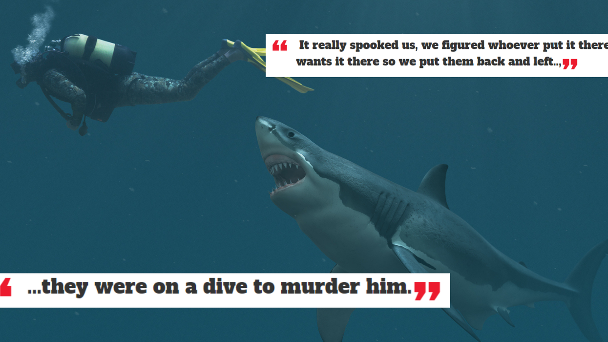 Divers are sharing the scariest things they've seen underwater