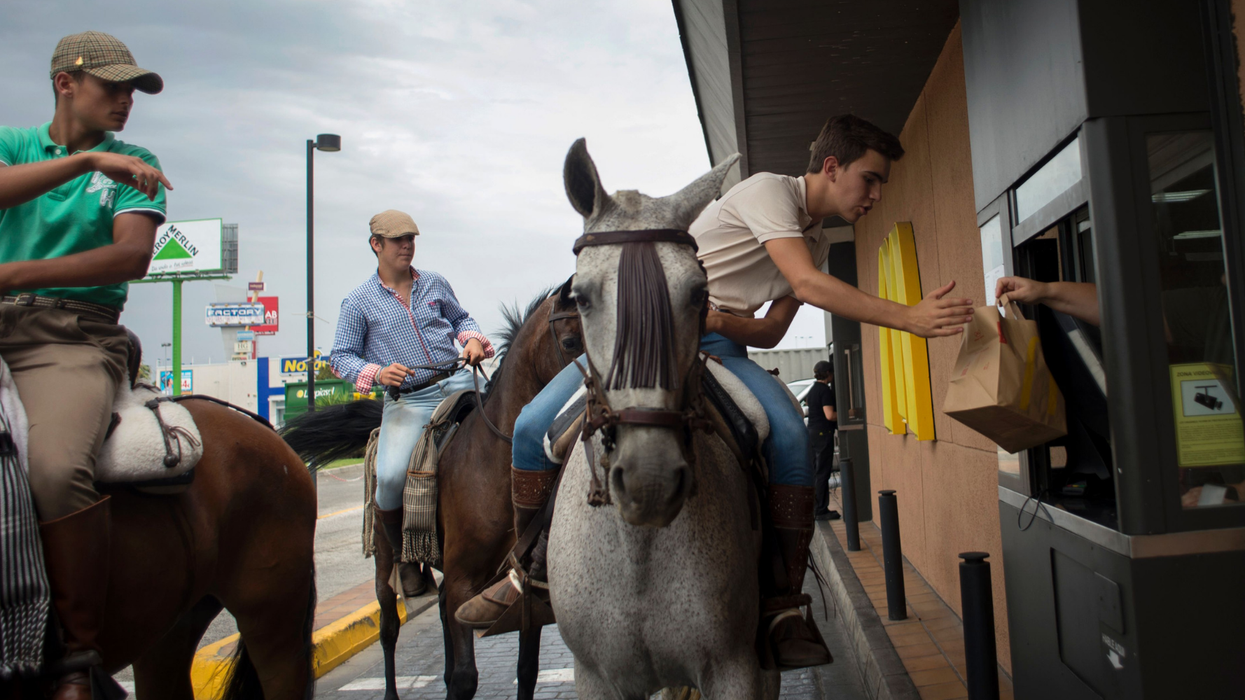 Someone asked drive-thru workers the strangest things they’ve seen in people’s cars and it got weird