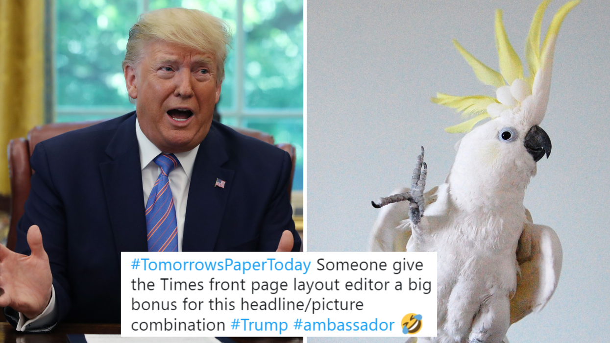 This article reported Trump’s latest tantrum in an incredible way