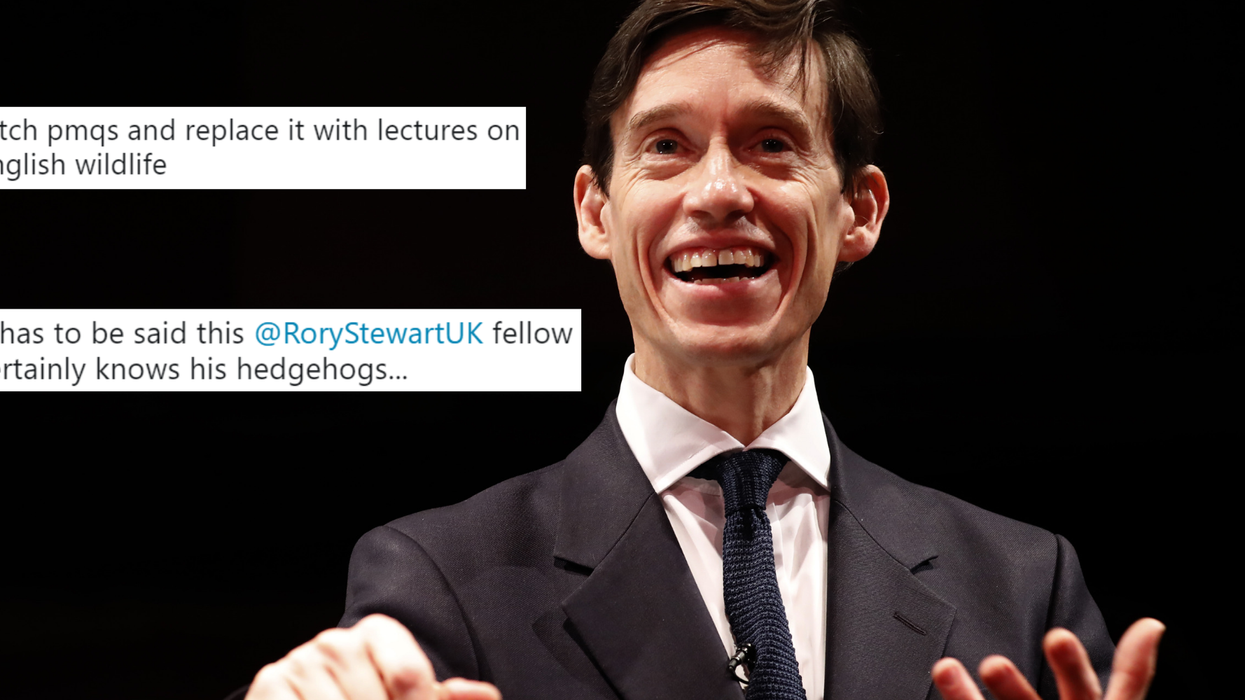 Rory Stewart once gave an immensely detailed, long and impassioned speech to the Commons about hedgehogs