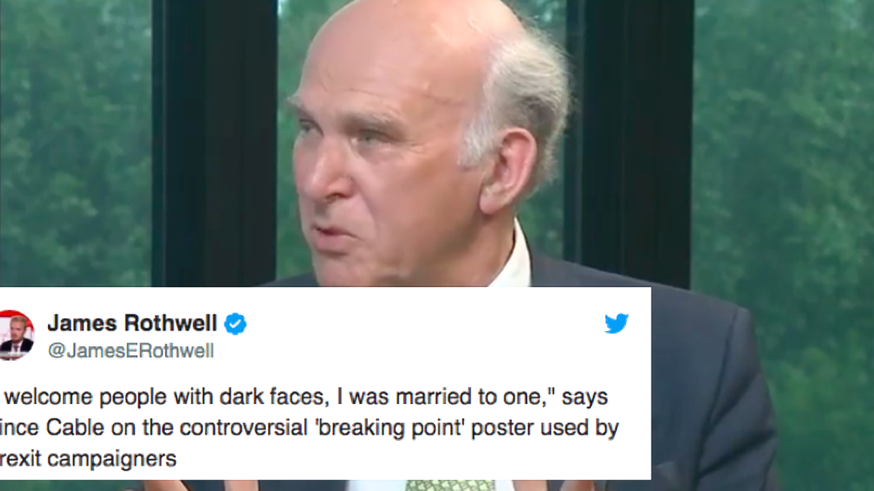 Vince Cable says he 'welcomes people with dark faces' during Brexit debate with Nigel Farage