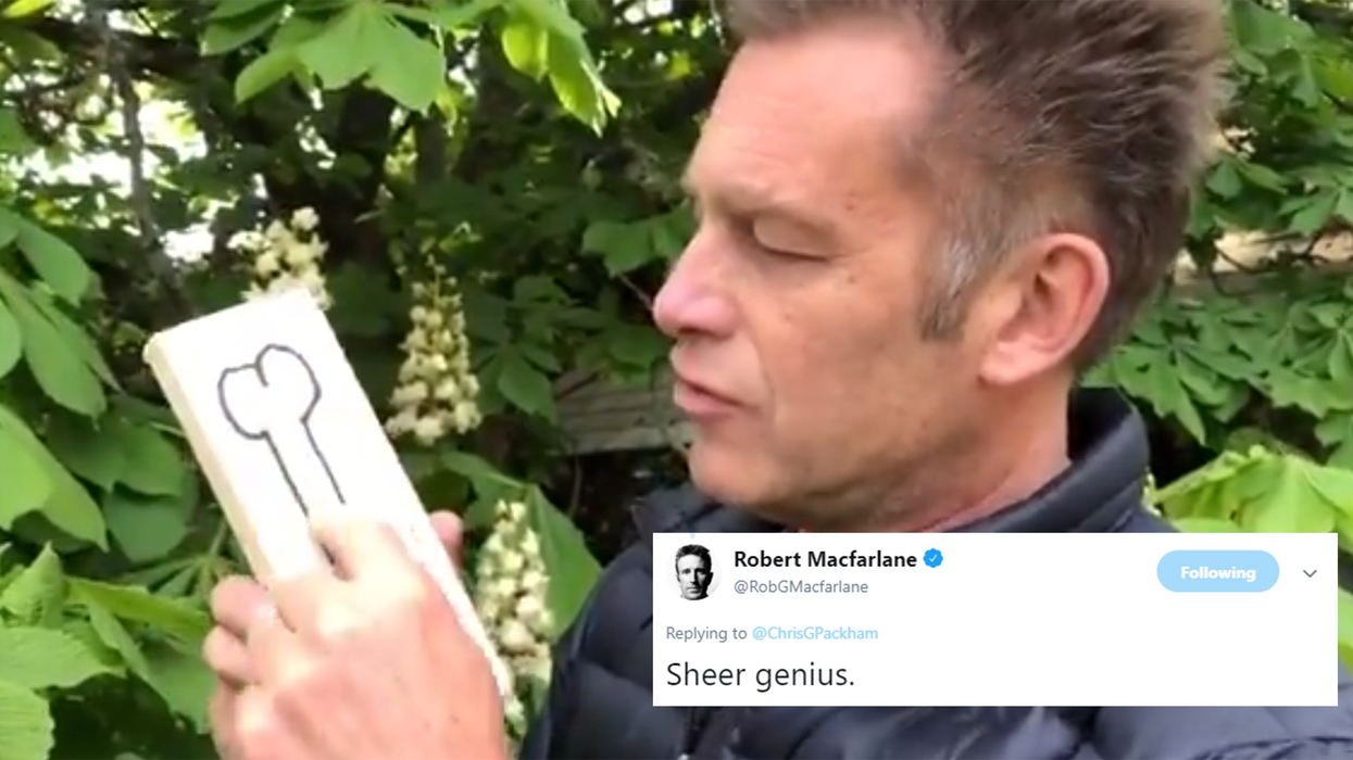 Chris Packham delivers 'masterclass' in how to deal with bullies in hilarious video