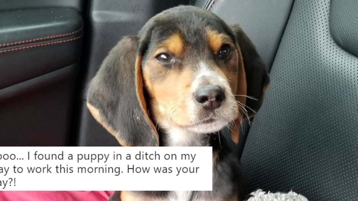 This woman’s story about rescuing an abandoned puppy is the feel good adventure you need right now