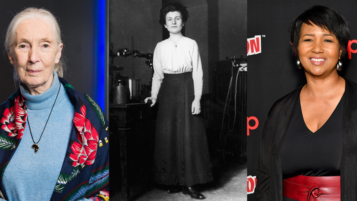 Google Doodle: Hedwig Kohn and 4 other inspiring female scientists you should know about