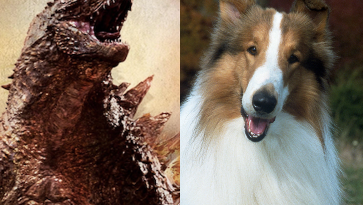 Bizarre University Challenge fail sees contestant confuse Godzilla with Lassie
