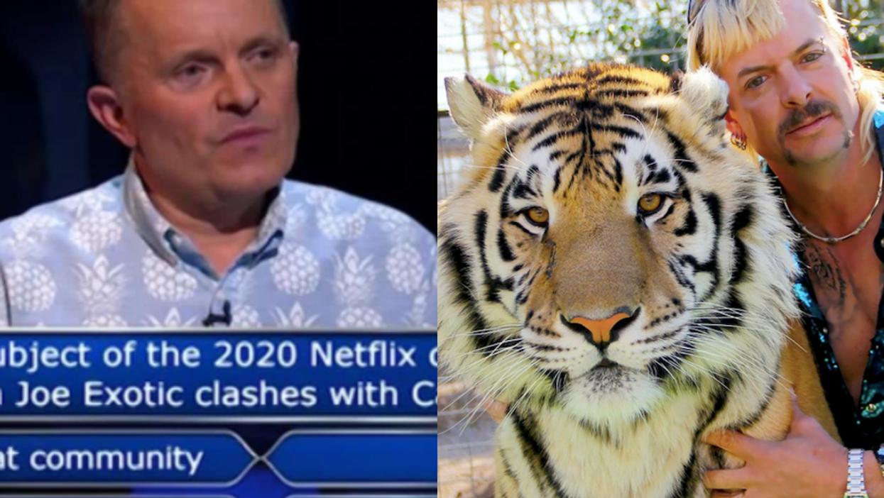 Man uses up three lifelines on Who Wants To Be A Millionaire on a simple question about Tiger King
