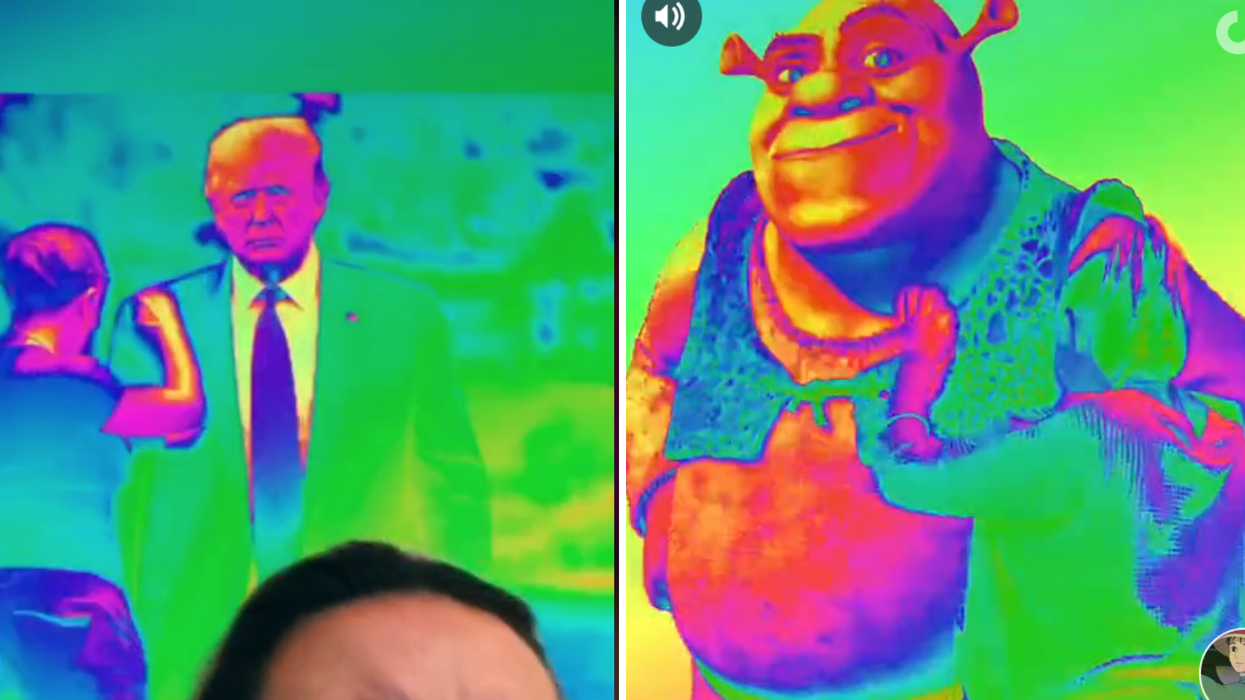 Trump supporters hilariously trolled by teenagers making parody videos on TikTok