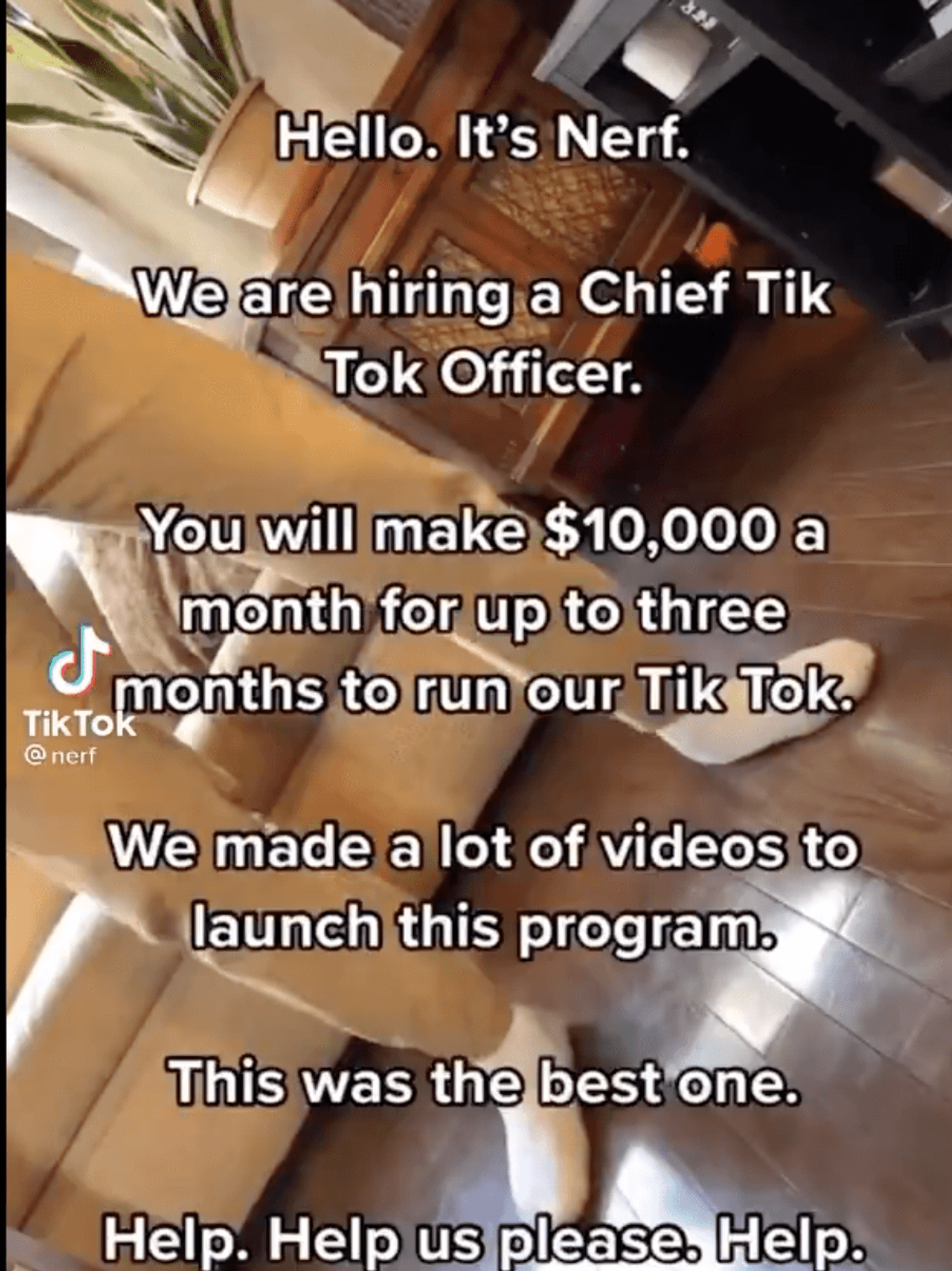 You could be a Chief TikTok Officer for $10,000 a month