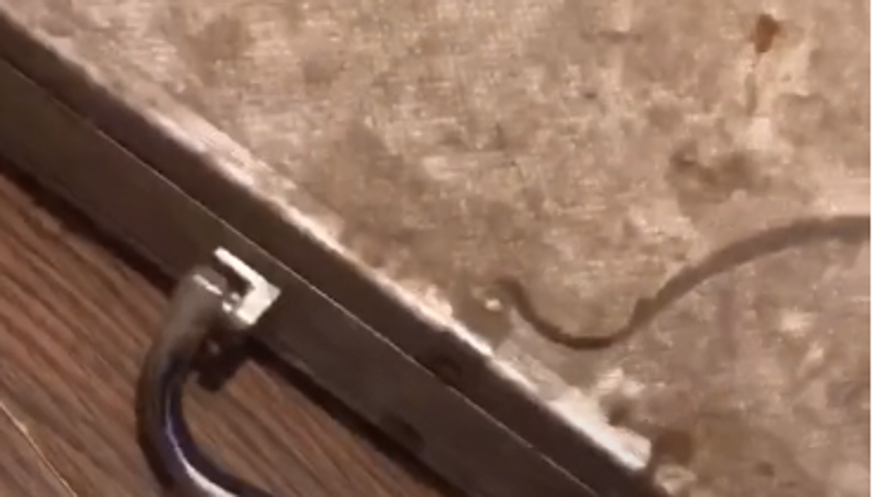 Woman finds ‘creepy’ briefcase hidden under her own oven