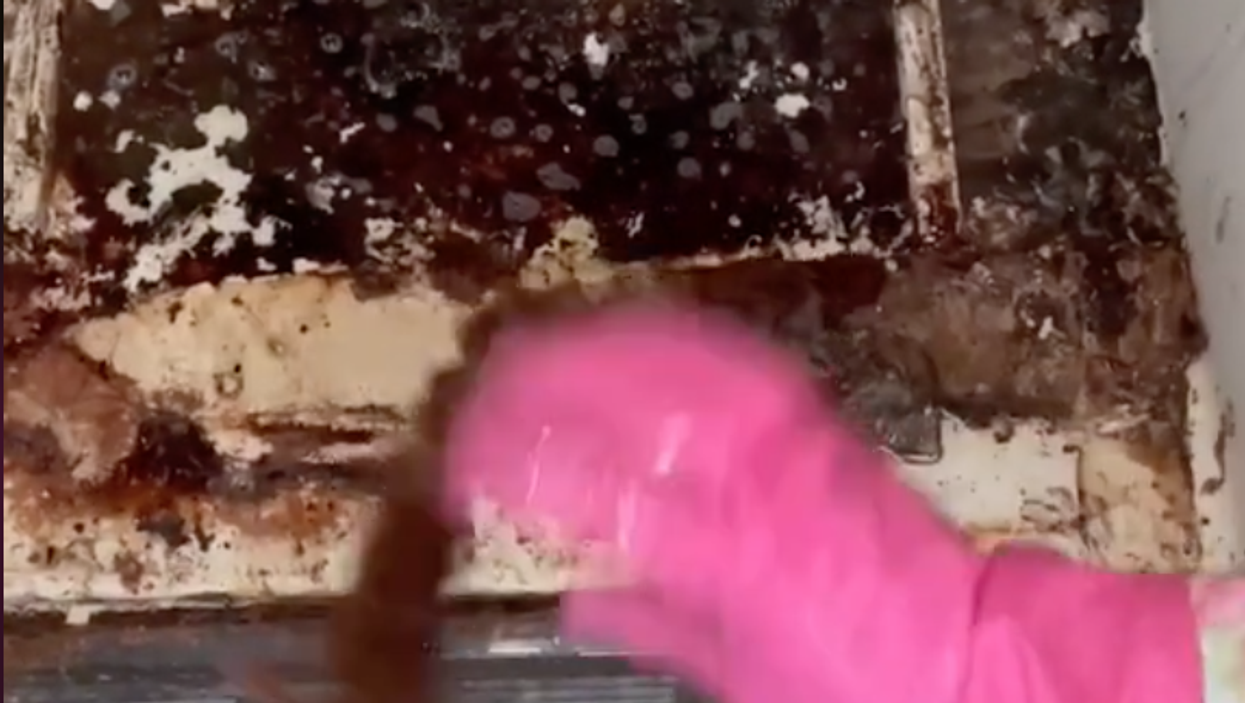 Elderly couple moved to tears after TikTok’s ‘queen of clean’ transforms their home