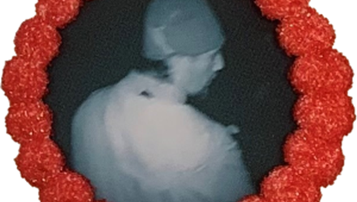 Bakery adds burglar’s face to cookies in a bid to catch him