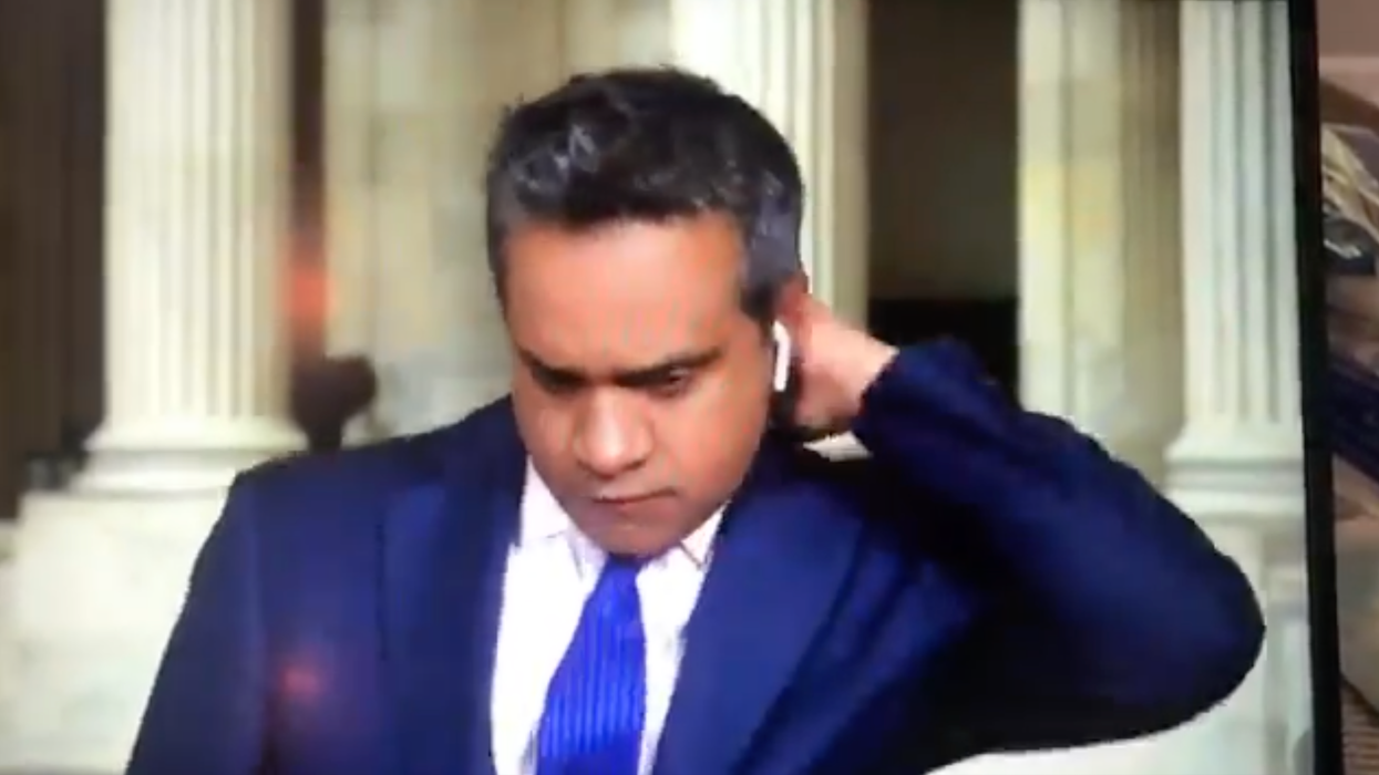 CNN reporter freaks out after giant bug lands on him on camera