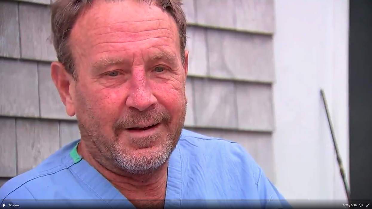 A diver almost got swallowed by a whale while searching for lobsters