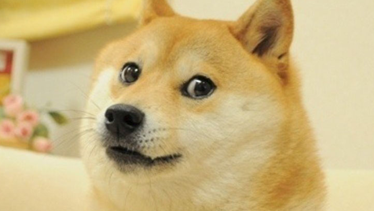 Doge become most expensive meme of all-time after NFT sells for $4 million