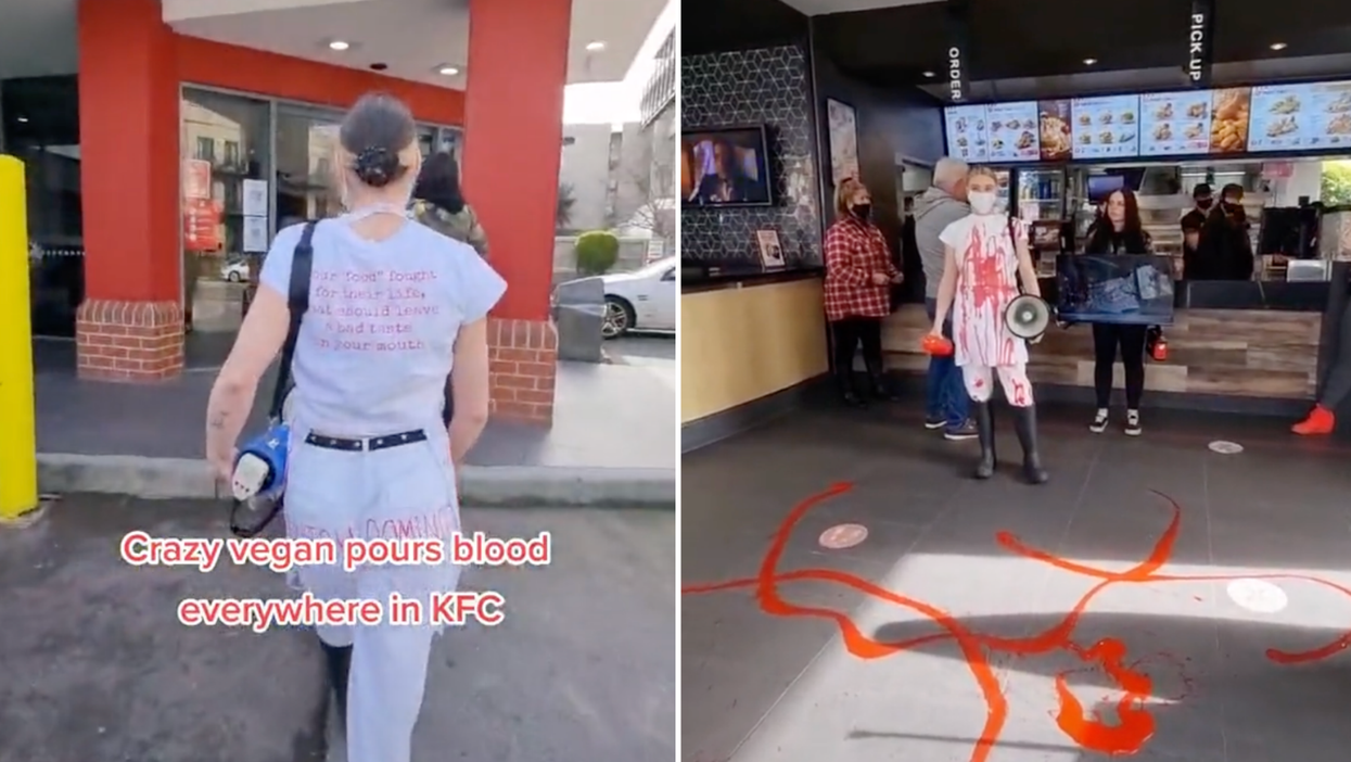 Viral TikTok of vegan activists pouring fake blood all over KFC sparks fierce debate