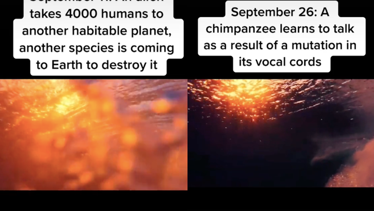 ‘Time traveller from 2714’ claims aliens, giant hurricanes and talking apes will all happen in September