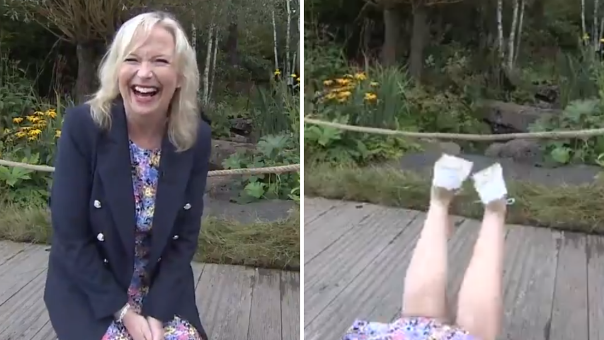 BBC Breakfast presenter gets taken out by guide dog in hilarious live TV blunder