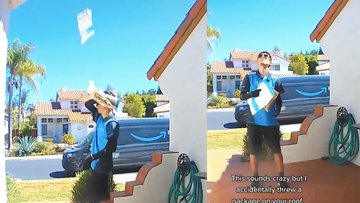 Amazon delivery driver accidentally throws parcel onto customer’s roof while trying to swat a bug
