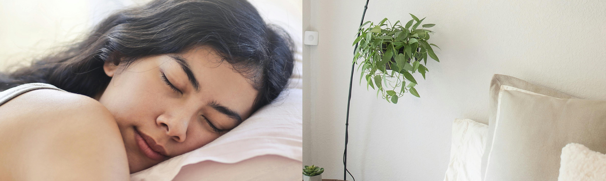 This is how a simple bedroom layout mistake could be messing with your sleep