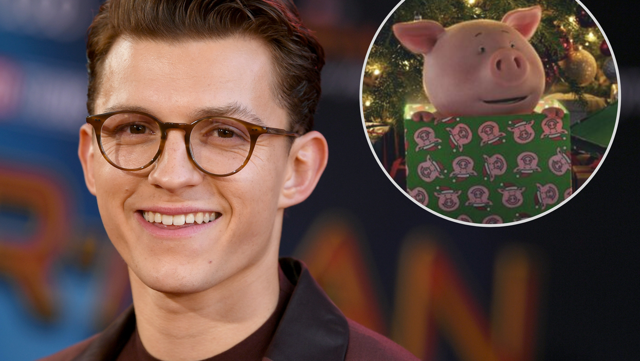 Tom Holland voices Percy Pig in M&S Christmas advert and fans are obsessed