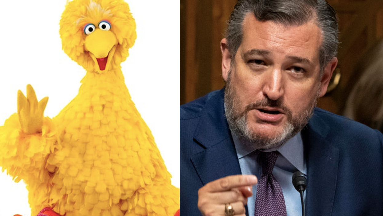 Republicans and anti-vaxxers are absolutely furious that Big Bird got a Covid vaccine