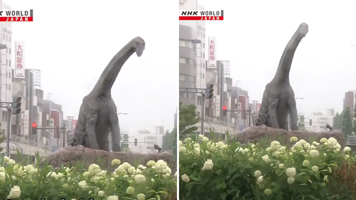 A random dinosaur just appeared in a Japanese weather report and people are baffled