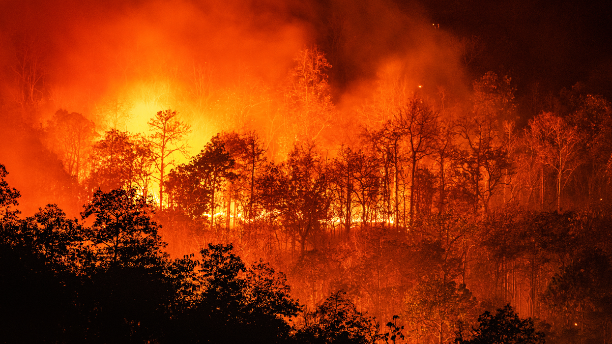 Furious backlash as Fox News uses Johnny Cash's 'Ring of Fire' in report about Colorado wildfires