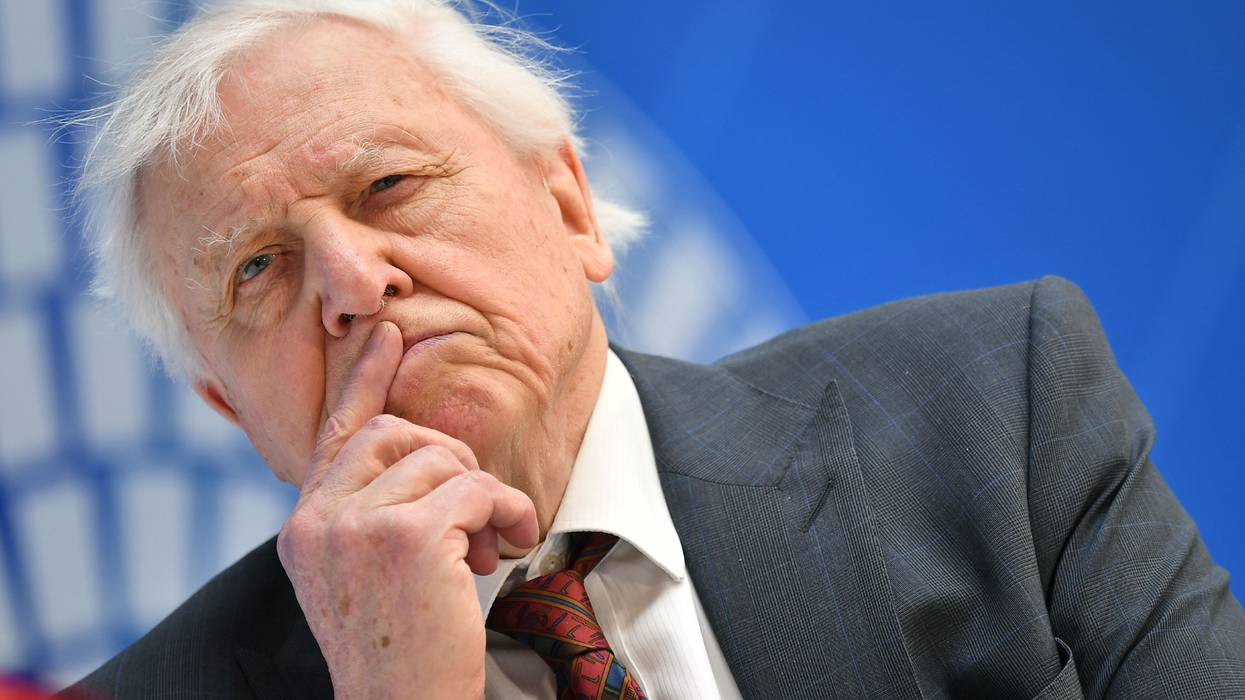 David Attenborough says he is 'fed up' with silly squabbles about Brexit