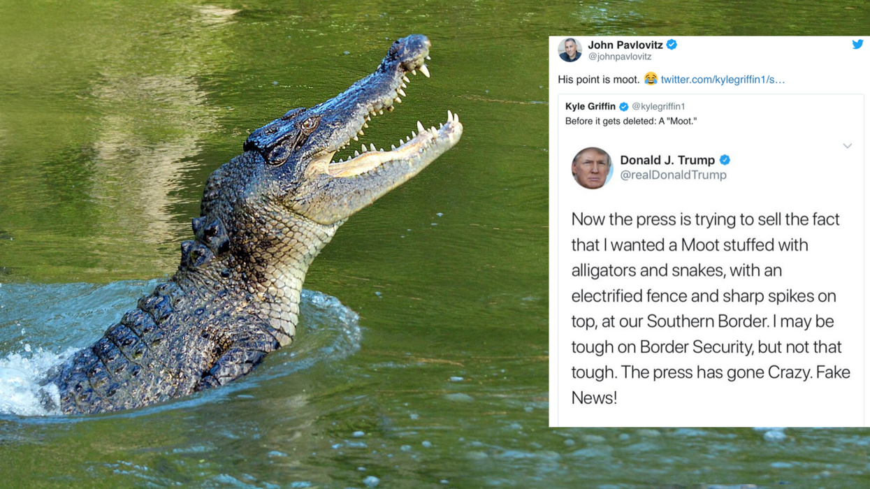 Trump's latest typo has become a hilarious meme