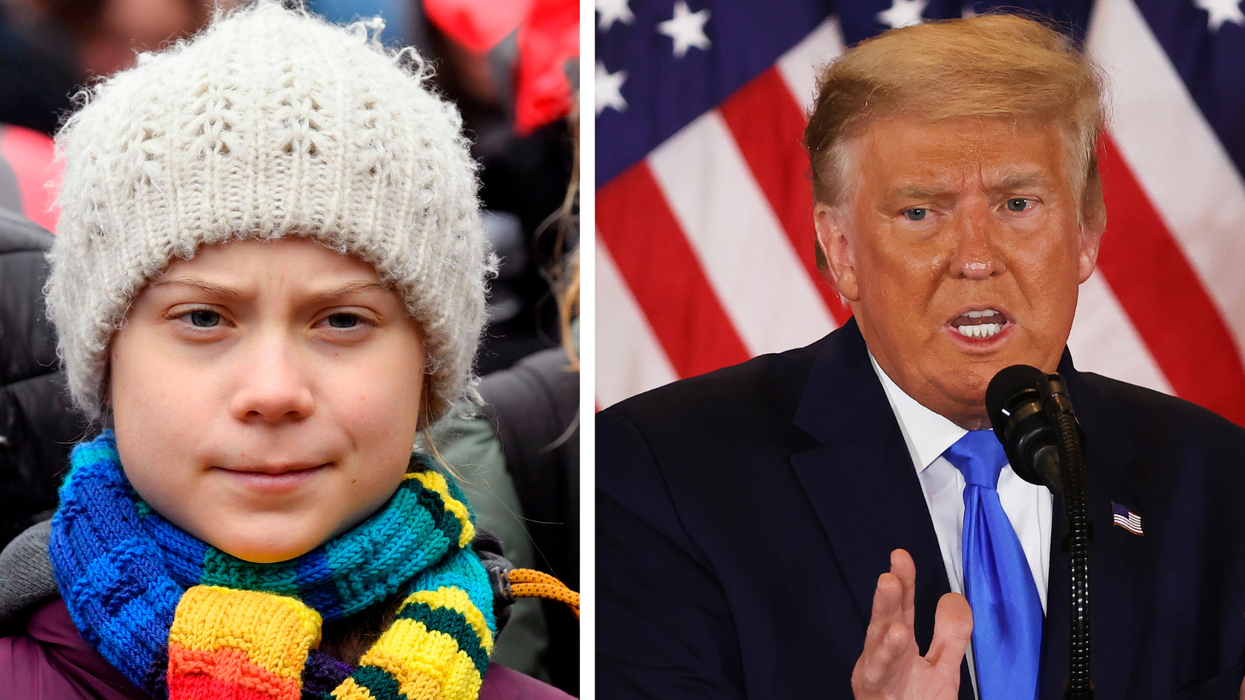 Greta Thunberg hilariously trolls Trump in scathing election tweet