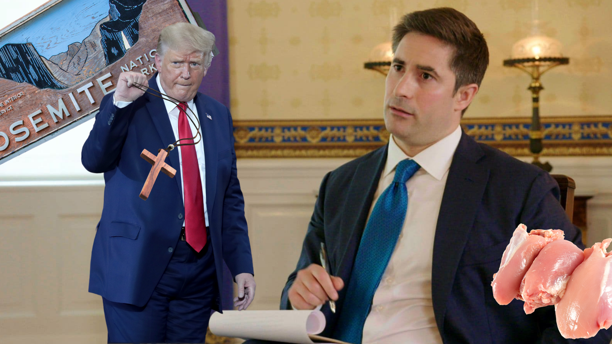 7 bizarre things Trump has done this week, from ‘Thighland’ to claiming children immune from coronavirus