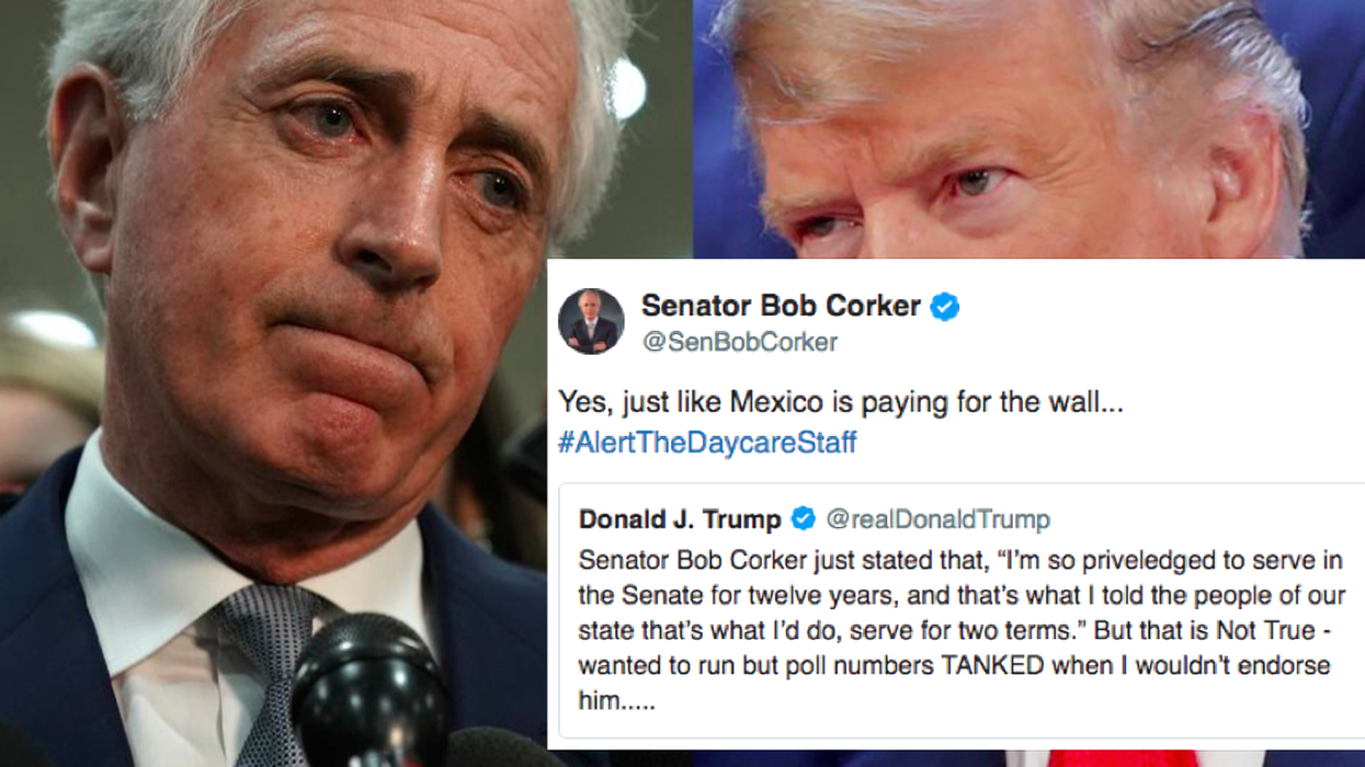 Republican senator destroys Trump on Twitter over government shutdown