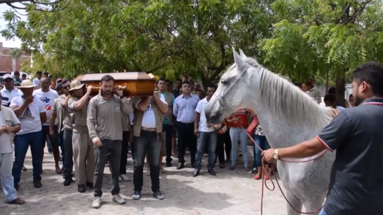 Horse appears to cry at his owner's funeral