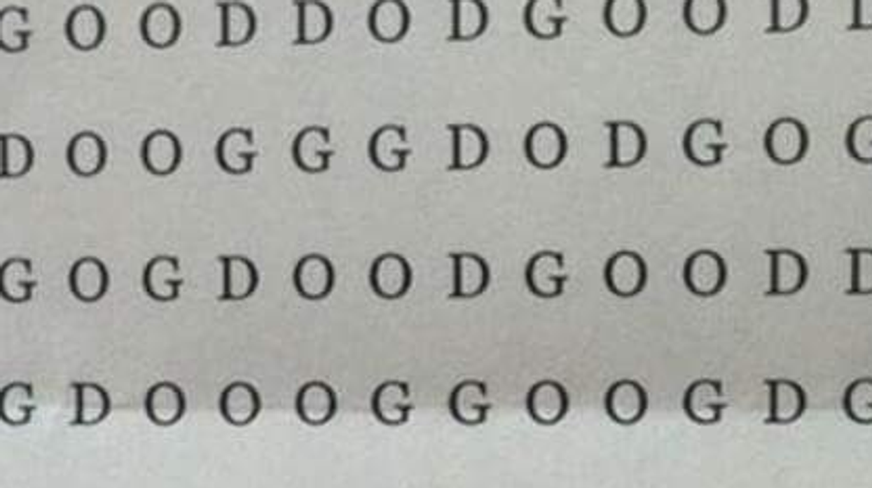 This has been dubbed the 'hardest word search ever'. Can you find the word dog?