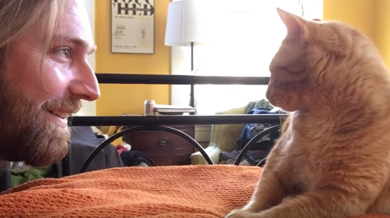 This man's cat keeps waking him up in the middle of the night. He just got the ultimate revenge