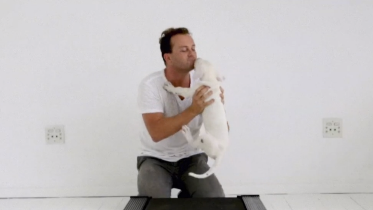 Watch this sickly rescue puppy grow up into a beautiful Great Dane