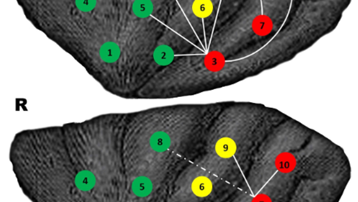 Science suggests gaming makes you smarter