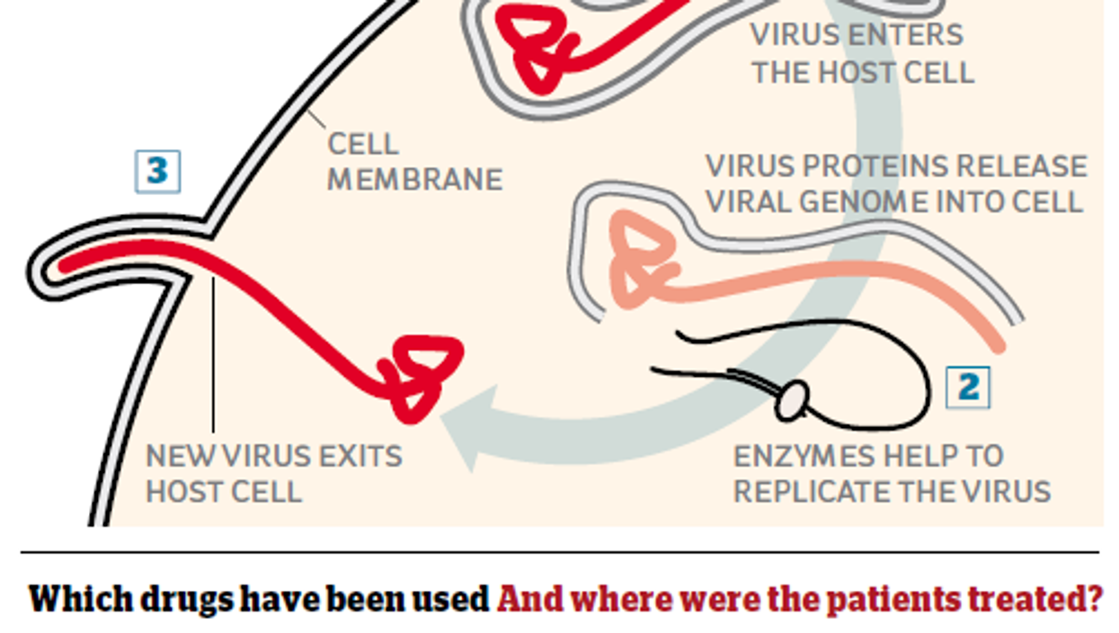 Donald Trump has a novel approach to fighting Ebola: Irrationality