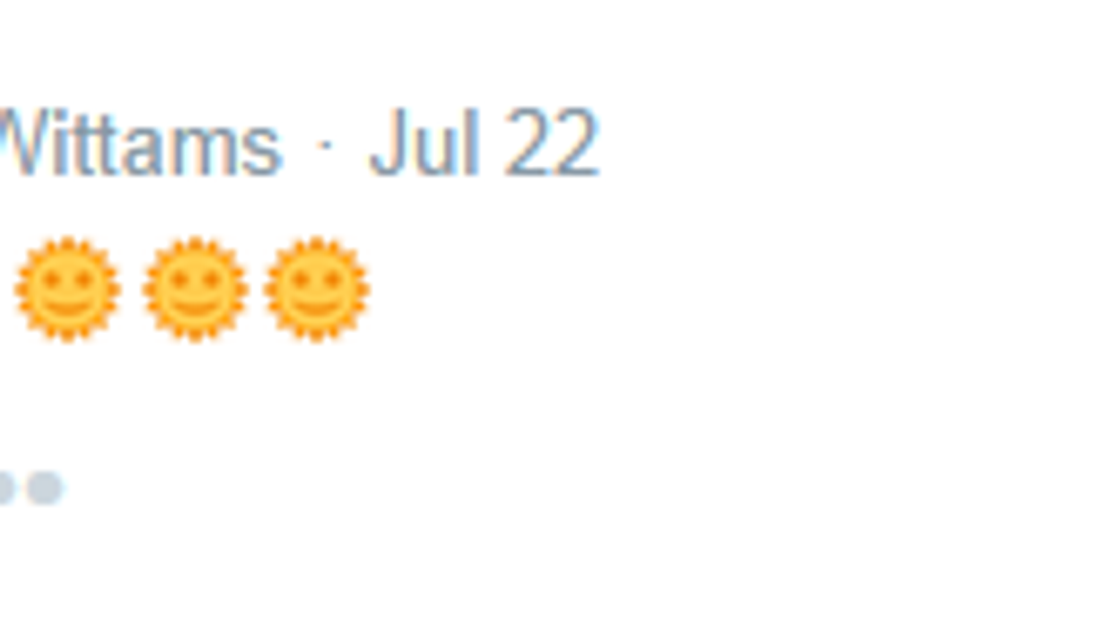 This is how a male journalist thinks a young female Tory activist tweets