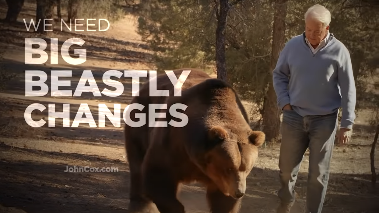 California governor candidate is campaigning alongside a 100lb bear