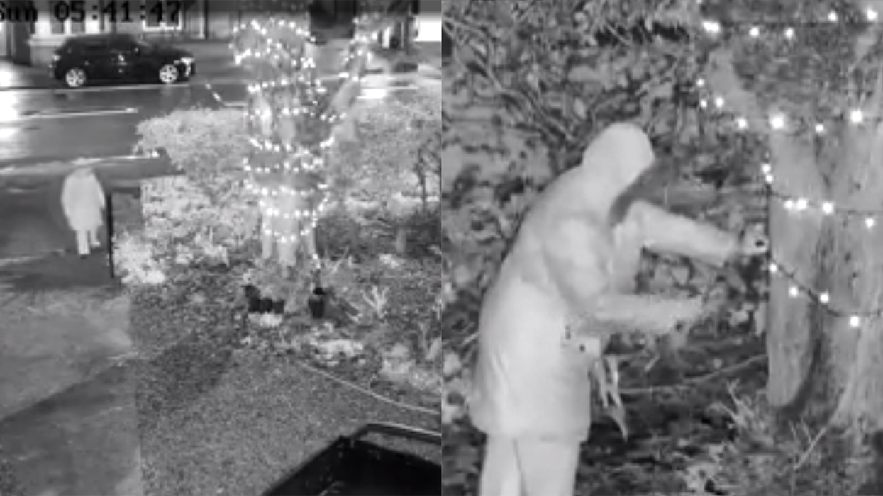 Old woman caught sneaking onto man's property to chop down Christmas lights with scissors