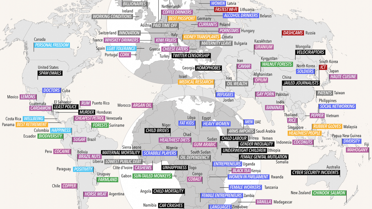 This map shows what every country in the world is best at doing