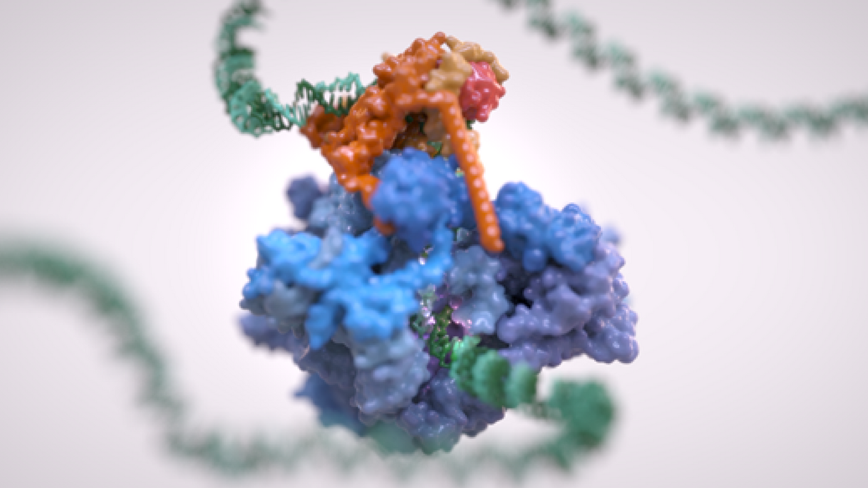Scientists zoom in to watch DNA molecules being read for the first time