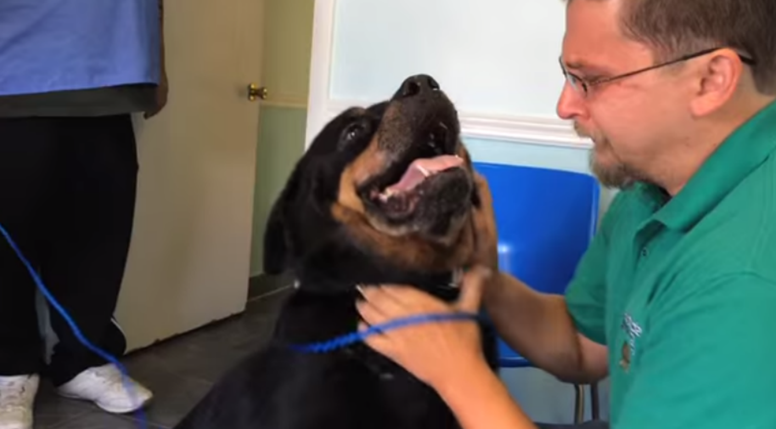 This man was reunited with his puppy after eight long years | indy100 | indy100