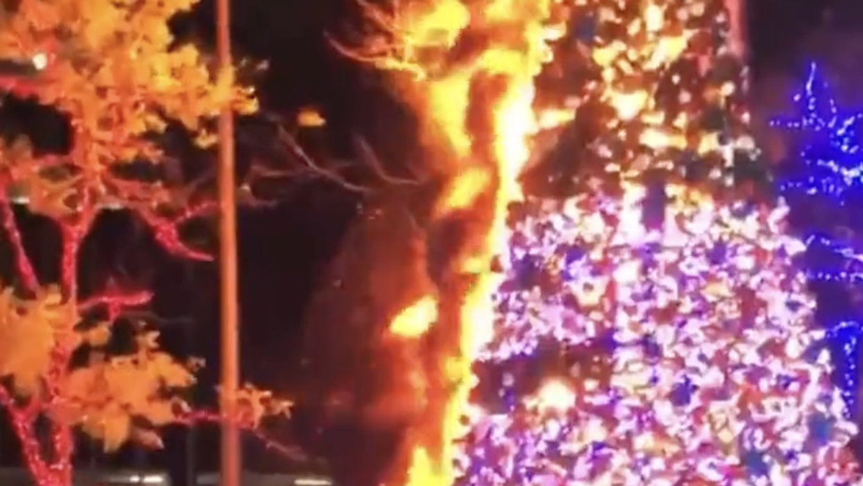 Fox News' Christmas tree just burnt down and the Twitter reaction was savage