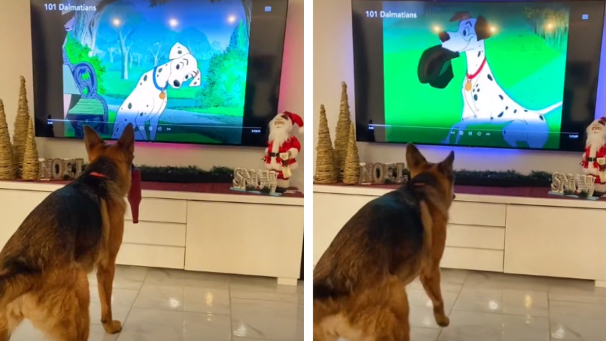 Video of dog copying 101 Dalmatians is the cutest thing you’ll see today