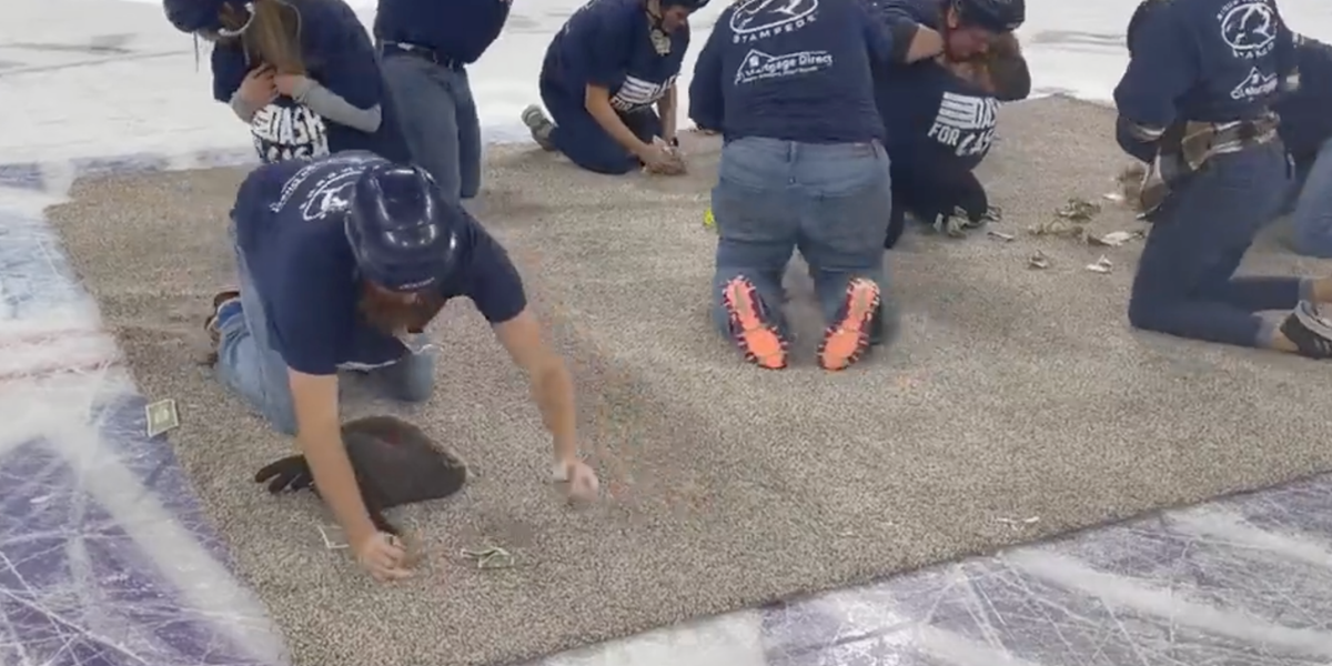 ‘Dystopian’ video of teachers fighting for dollar bills sparks Squid