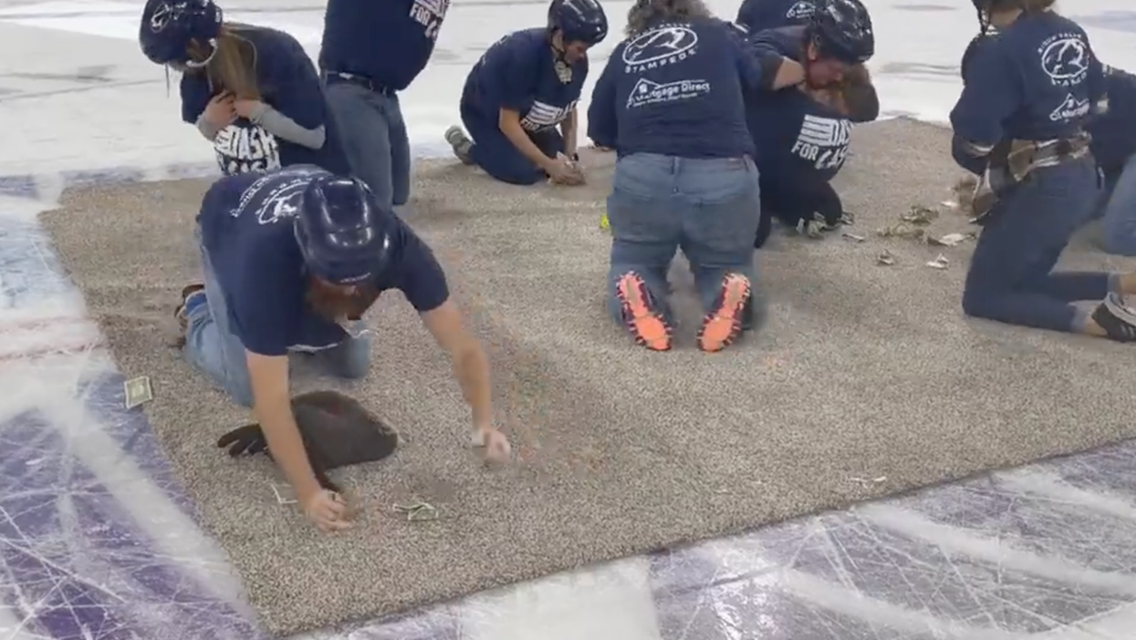 ‘Dystopian’ video of teachers fighting for dollar bills sparks Squid Game and Hunger Games comparisons