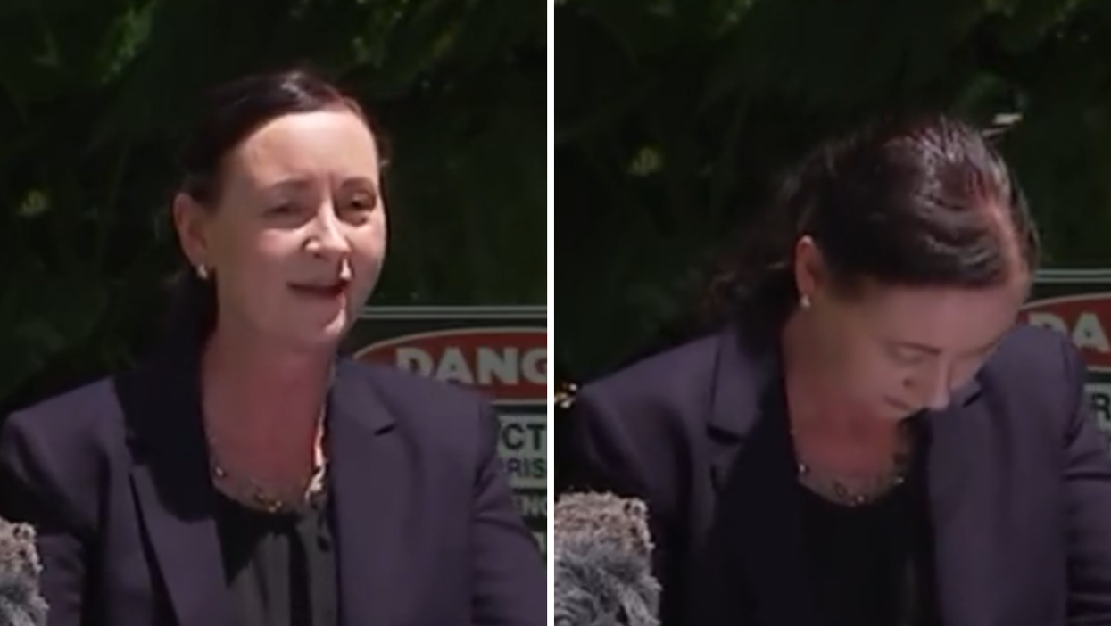 Venomous spider crawls on health minister during Covid briefing – and her reaction is a masterclass in calm